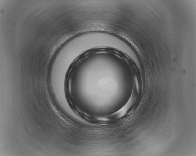 X0000075900677200609151412