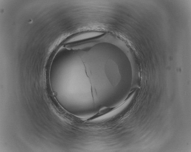 X0000075900678200609151412