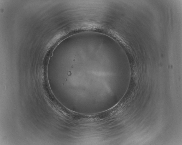 X0000075900679200609151412