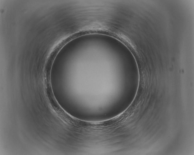 X0000075900680200609151412