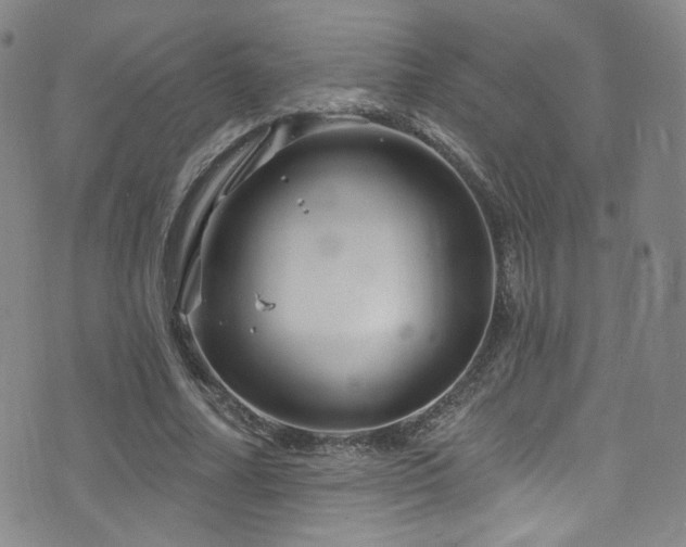 X0000075900682200609151412