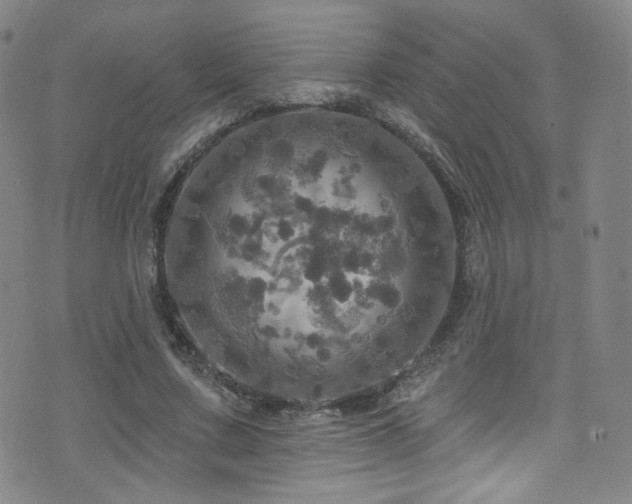 X0000075900683200609151412