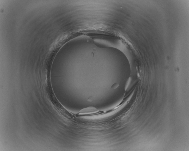 X0000075900685200609151412