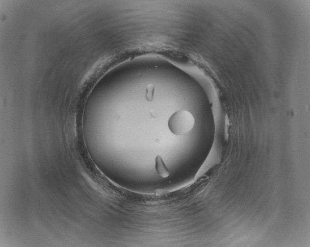 X0000075900686200609151412