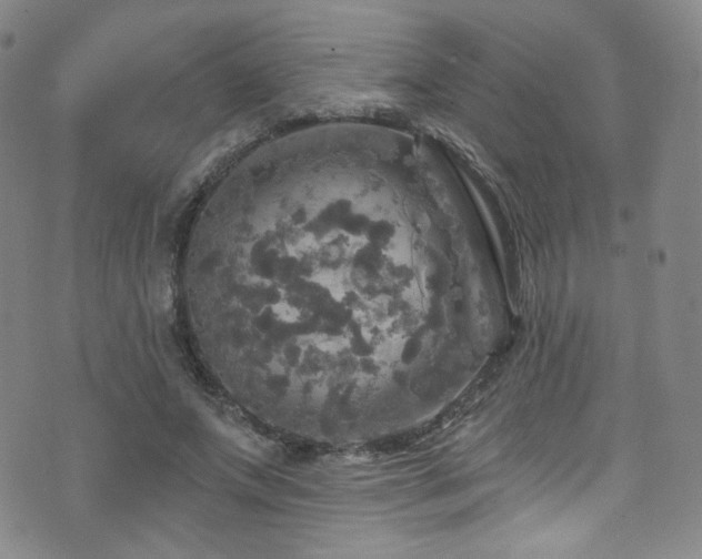 X0000075900687200609151412