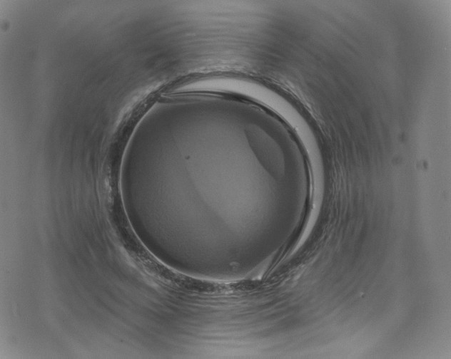 X0000075900688200609151412