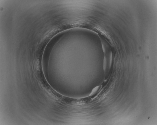 X0000075900689200609151412