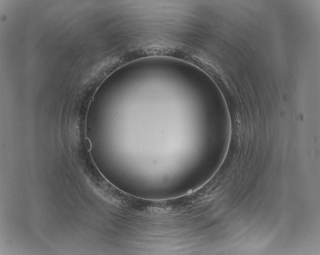 X0000075900690200609151412