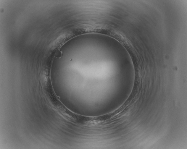 X0000075900691200609151412