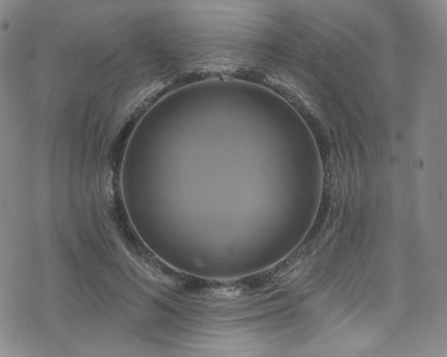 X0000075900692200609151412