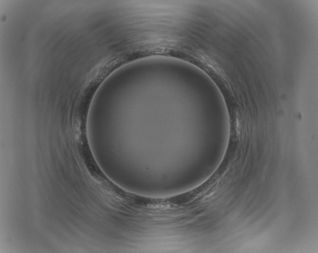 X0000075900693200609151412