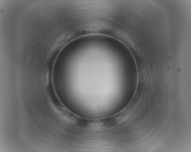 X0000075900694200609151412