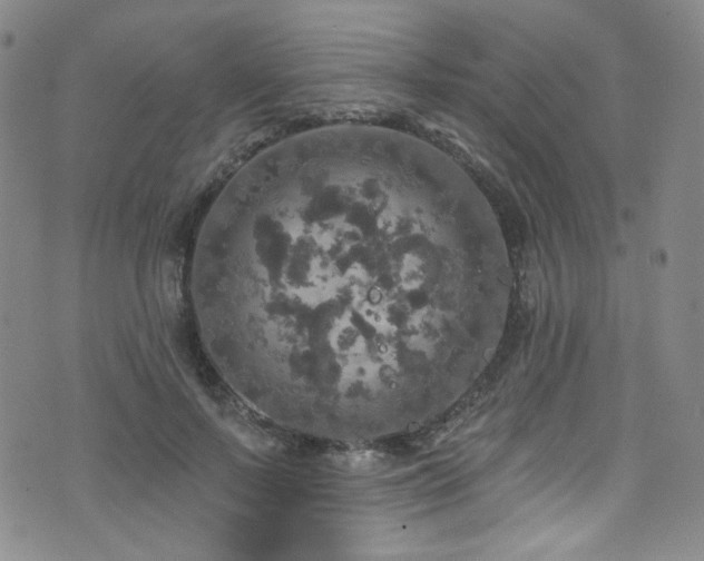 X0000075900695200609151412