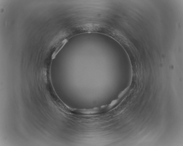 X0000075900696200609151412