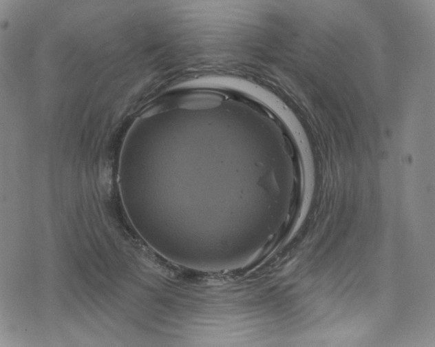 X0000075900697200609151412