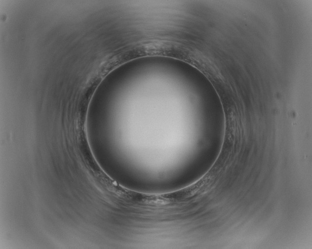 X0000075900698200609151412