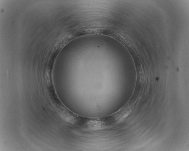 X0000075900699200609151412