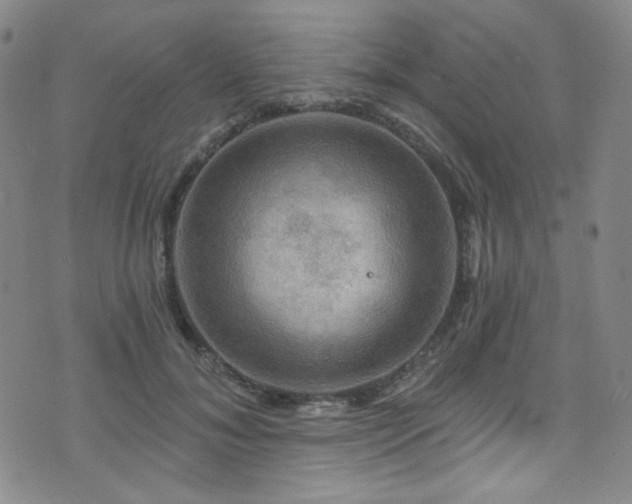 X0000075900700200609151412