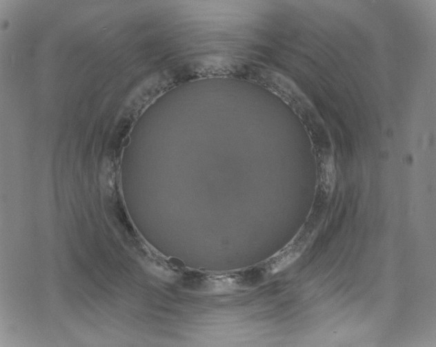 X0000075900701200609151412