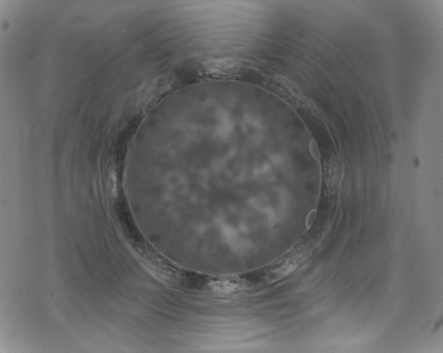 X0000075900703200609151412