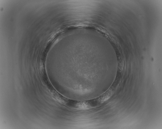 X0000075900704200609151412