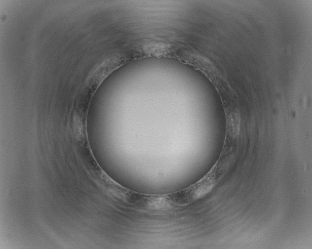 X0000075900705200609151412