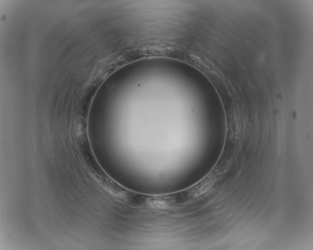 X0000075900706200609151411