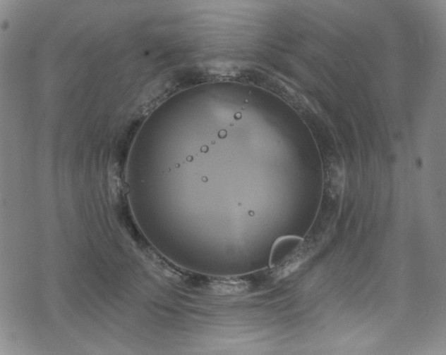 X0000075900707200609151411