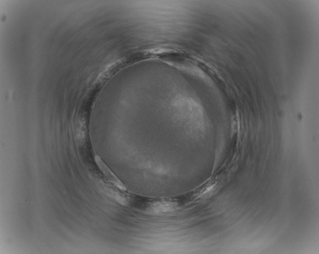 X0000075900708200609151411