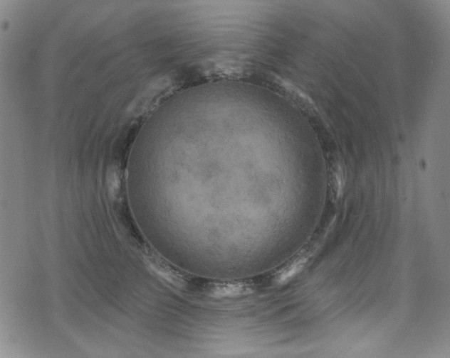 X0000075900709200609151411