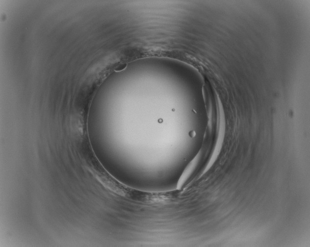 X0000075900710200609151411