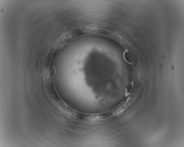 X0000075900711200609151411