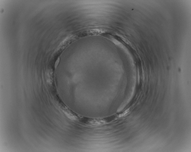 X0000075900712200609151411