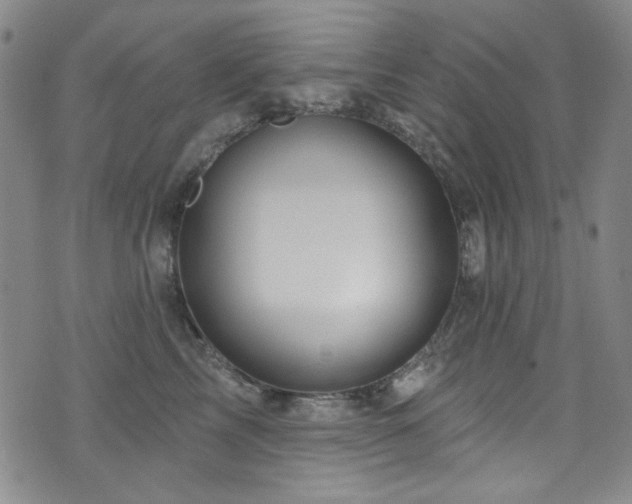 X0000075900713200609151411