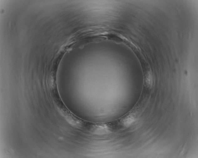 X0000075900715200609151411