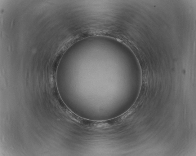 X0000075900716200609151411