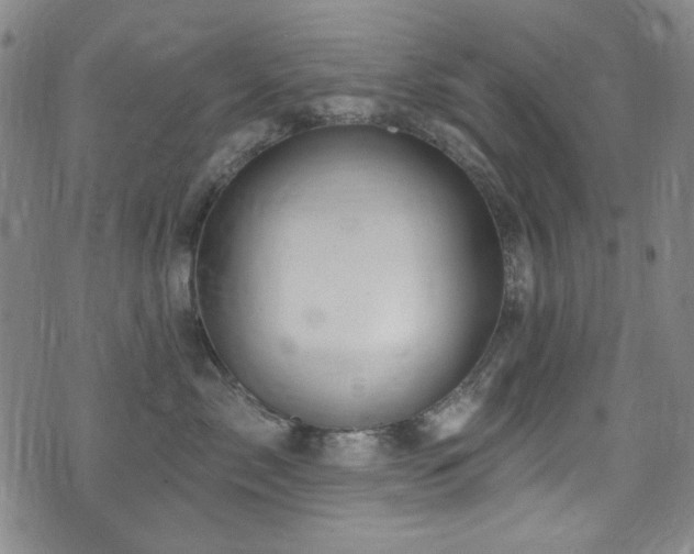 X0000075900717200609151411