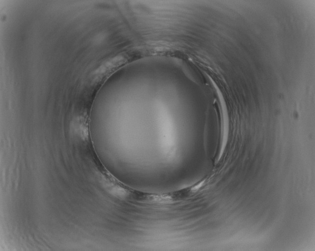 X0000075900719200609151411