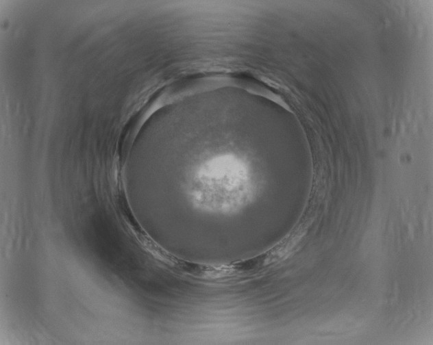 X0000075900720200609151411