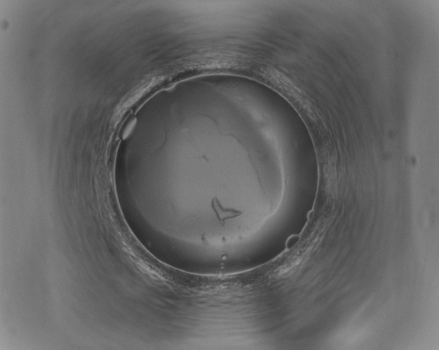 X0000075900721200609151410