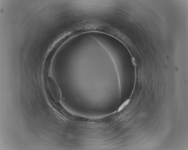 X0000075900722200609151410