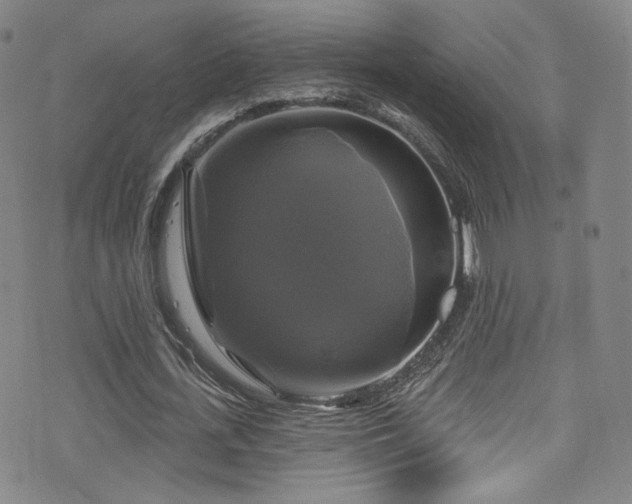 X0000075900723200609151411