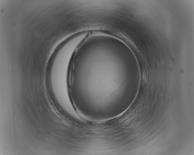 X0000075900724200609151411