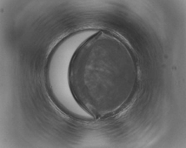 X0000075900725200609151411