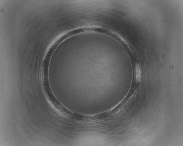 X0000075900726200609151411