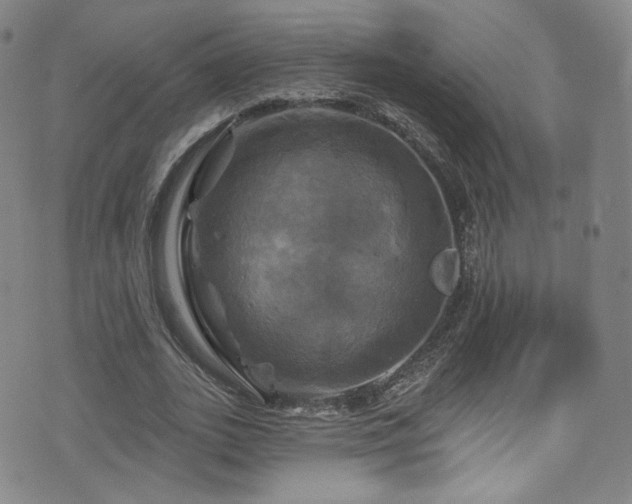 X0000075900727200609151411