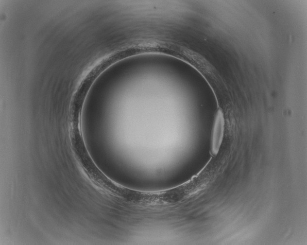 X0000075900728200609151411