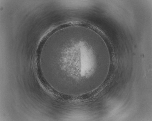 X0000075900730200609151411