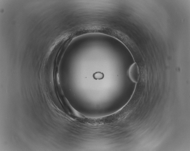 X0000075900731200609151411