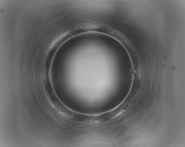 X0000075900732200609151411